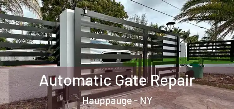  Automatic Gate Repair Hauppauge - NY