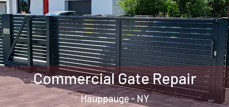 Commercial Gate Repair Hauppauge - NY