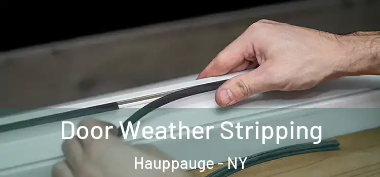  Door Weather Stripping Hauppauge - NY