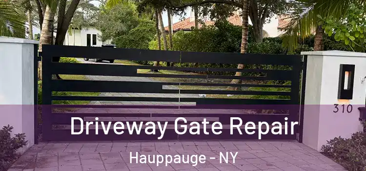  Driveway Gate Repair Hauppauge - NY