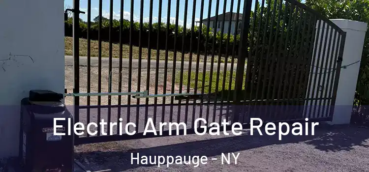 Electric Arm Gate Repair Hauppauge - NY
