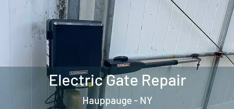 Electric Gate Repair Hauppauge - NY
