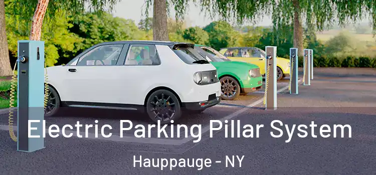  Electric Parking Pillar System Hauppauge - NY