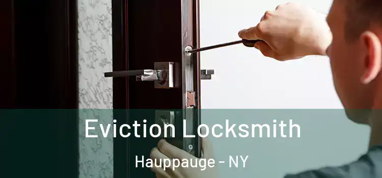  Eviction Locksmith Hauppauge - NY