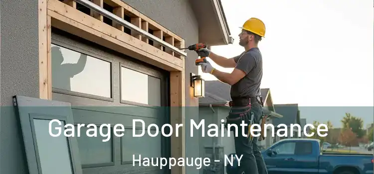  Garage Door Maintenance Hauppauge - NY