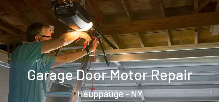  Garage Door Motor Repair Hauppauge - NY