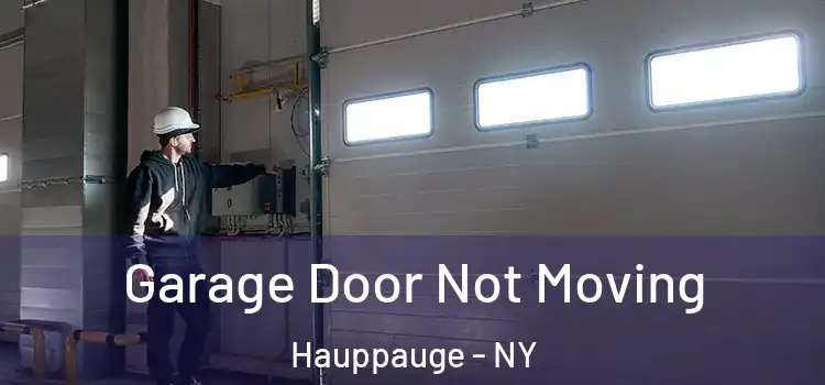  Garage Door Not Moving Hauppauge - NY