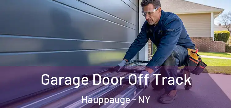  Garage Door Off Track Hauppauge - NY