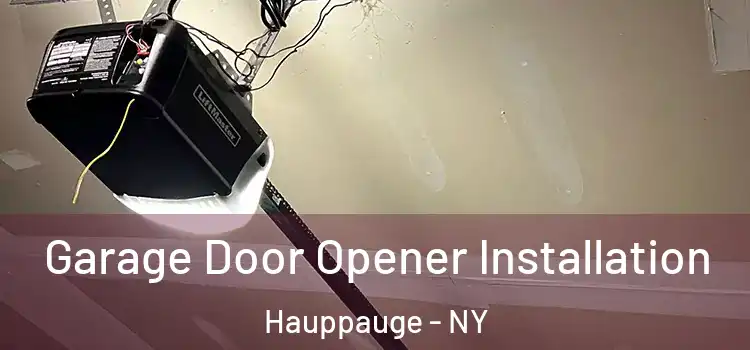 Garage Door Opener Installation Hauppauge - NY