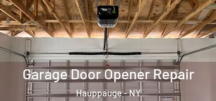  Garage Door Opener Repair Hauppauge - NY