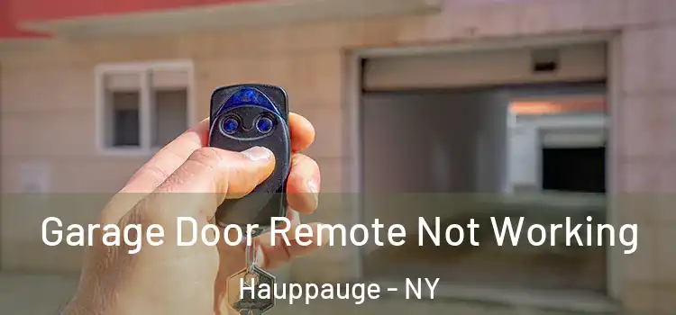  Garage Door Remote Not Working Hauppauge - NY