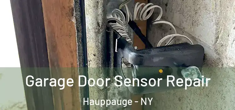 Garage Door Sensor Repair Hauppauge - NY