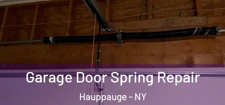  Garage Door Spring Repair Hauppauge - NY