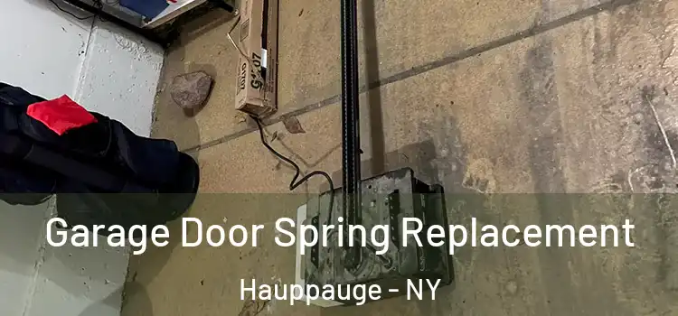  Garage Door Spring Replacement Hauppauge - NY