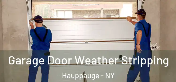 Garage Door Weather Stripping Hauppauge - NY
