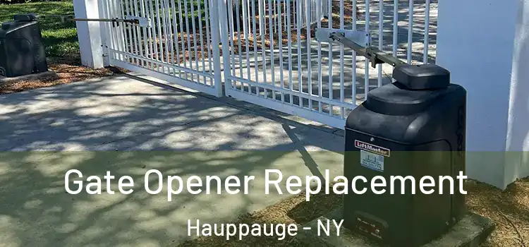  Gate Opener Replacement Hauppauge - NY
