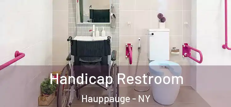  Handicap Restroom Hauppauge - NY