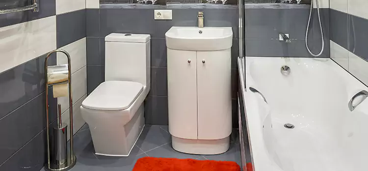 Hansgrohe Shaving Mirror Hauppauge