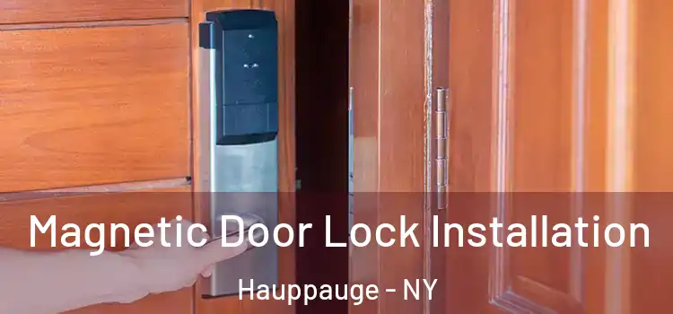  Magnetic Door Lock Installation Hauppauge - NY