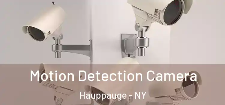  Motion Detection Camera Hauppauge - NY