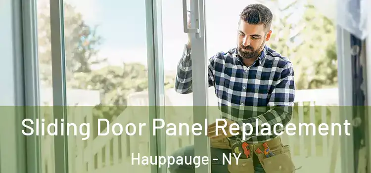  Sliding Door Panel Replacement Hauppauge - NY