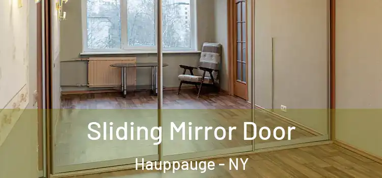  Sliding Mirror Door Hauppauge - NY
